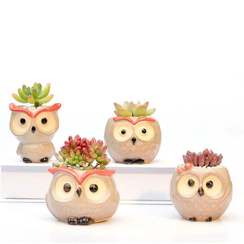 Ceramic Owl Flower Pot Garden Office Decoration Succulent Mini Owl