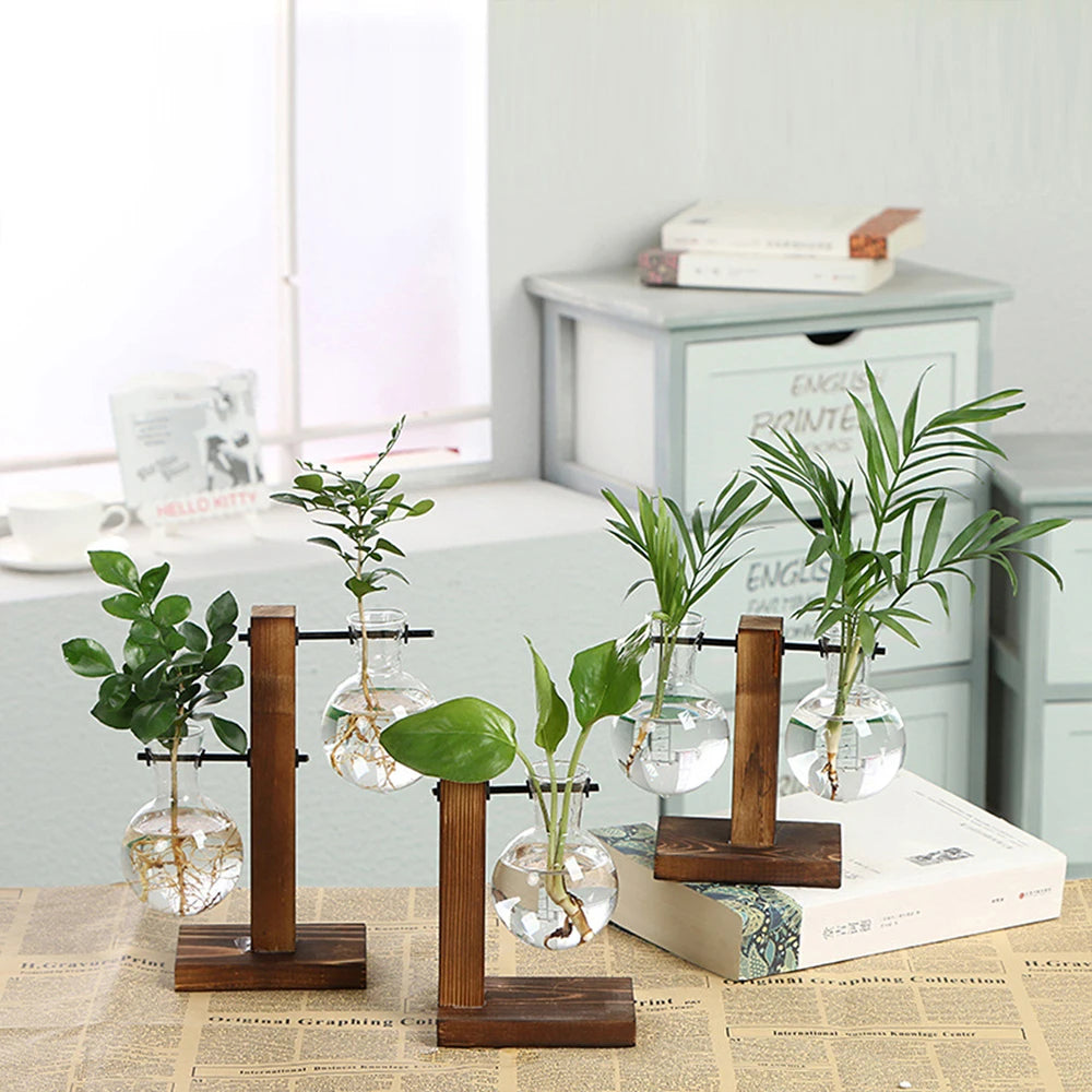 Glass Desktop Planter Bulb Vase Wooden Stand Hydroponic Plant