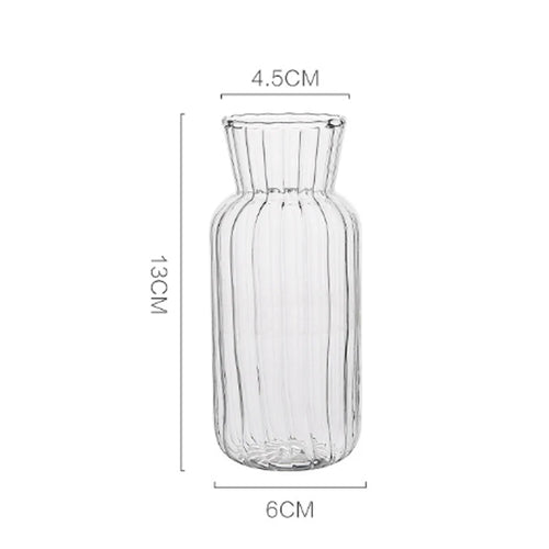 1pc Nordic Creative Transparent Vases for Plant Bottle Flower Pot