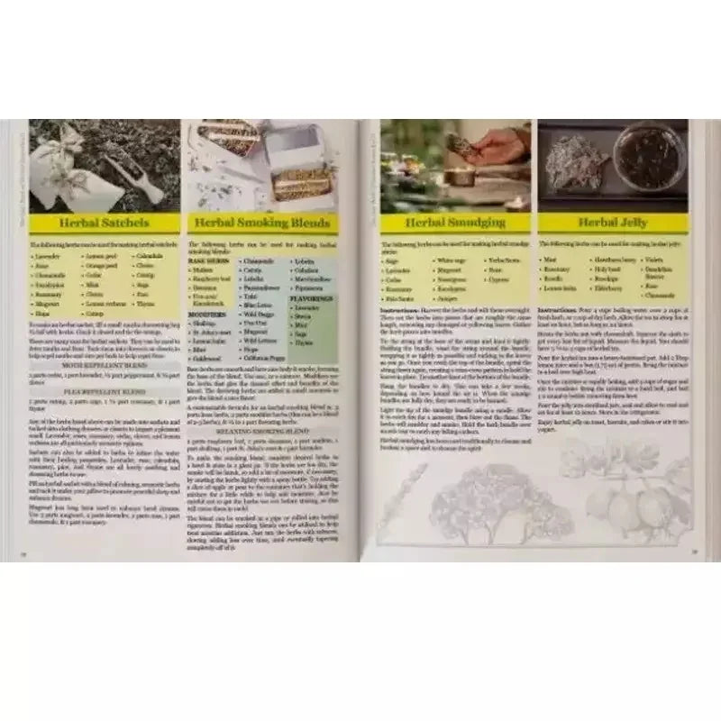 The Lost Book of Herbs and Natural Remedies II - A5 Size