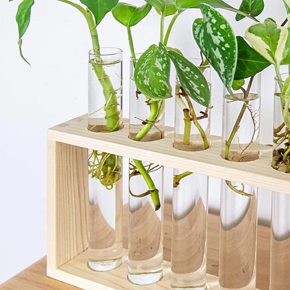 3/5 Tubes Wall Hanging Hydroponic Plant Propagation Glass Vase with