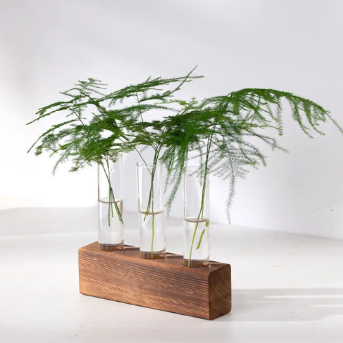3/5 Tubes Wall Hanging Hydroponic Plant Propagation Glass Vase with