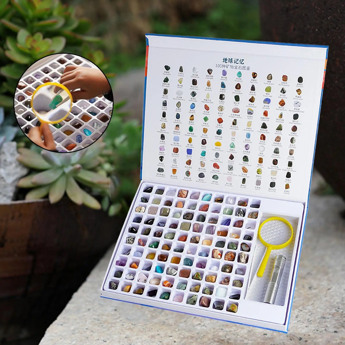 Natural Geology Minerals Rocks and Crystals GEM Collection Kit for Educational Science Book Magnifying Glass for Holiday Gifts