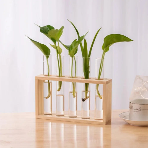 3/5 Tubes Wall Hanging Hydroponic Plant Propagation Glass Vase with