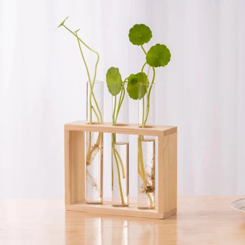 3/5 Tubes Wall Hanging Hydroponic Plant Propagation Glass Vase with