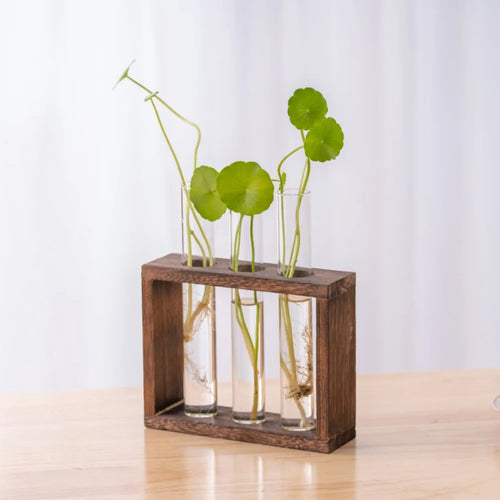 3/5 Tubes Wall Hanging Hydroponic Plant Propagation Glass Vase with