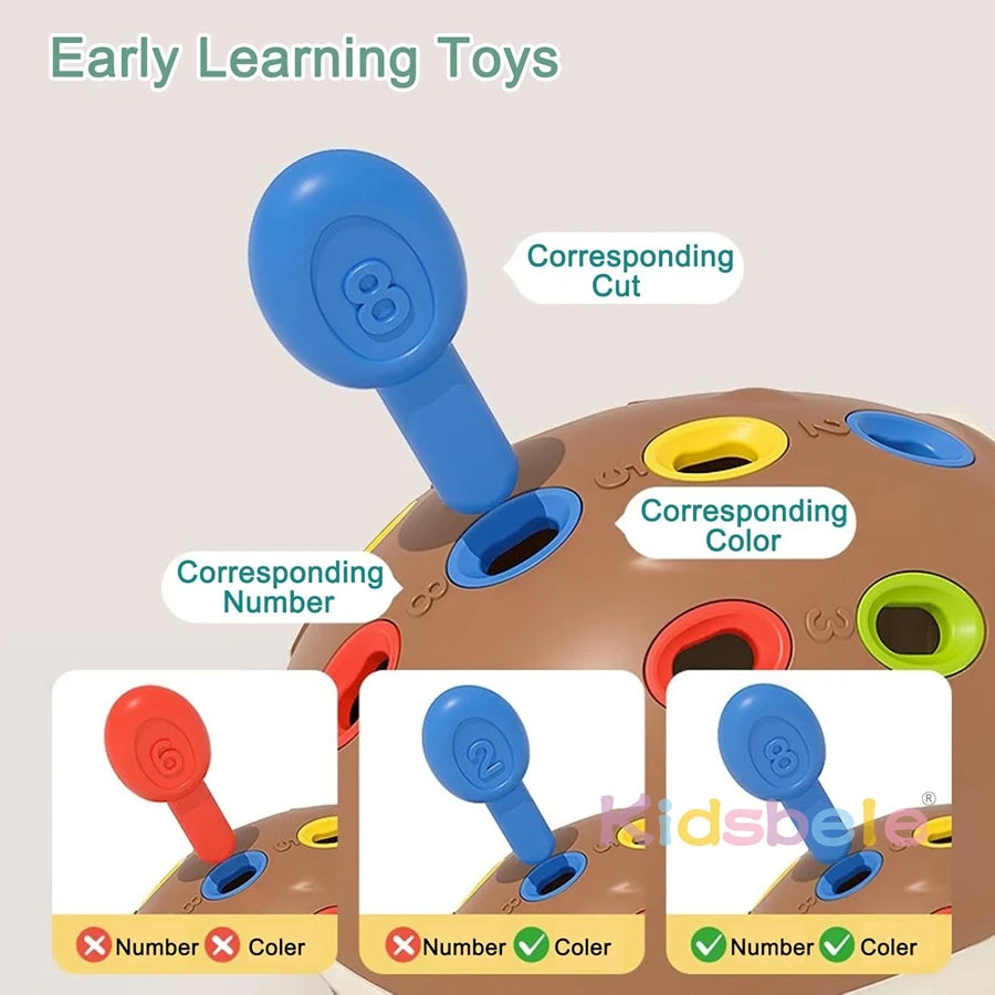 Baby Montessori Toys for 1 Year Old Hedgehog Toddler Sensory Toys Fine Motor Skills Learning Educational Sorting Toys Montessori