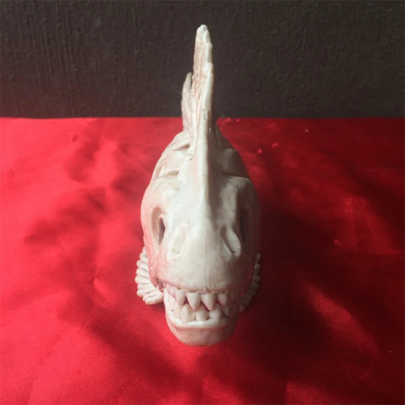 Halloween Animal Skeleton Bones Horror Piranha Fish Ornaments Creepy Decoration Props Party For Kids Gift