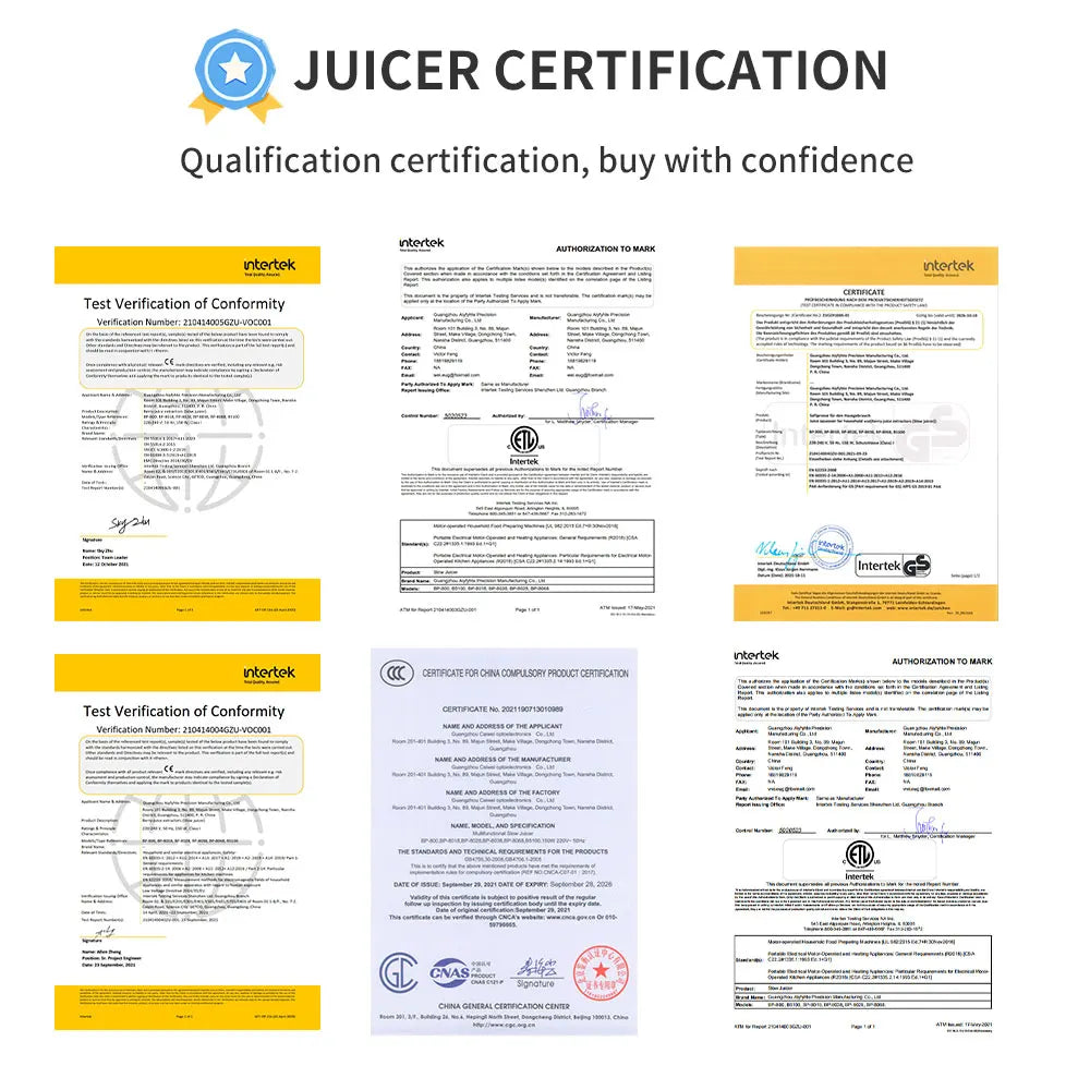 Hot Sale 250W Slow Juicer Extractor for Vegetable and Fruit Screw Cold Press Fresh Beet Juice Electric Blender Home Appliance