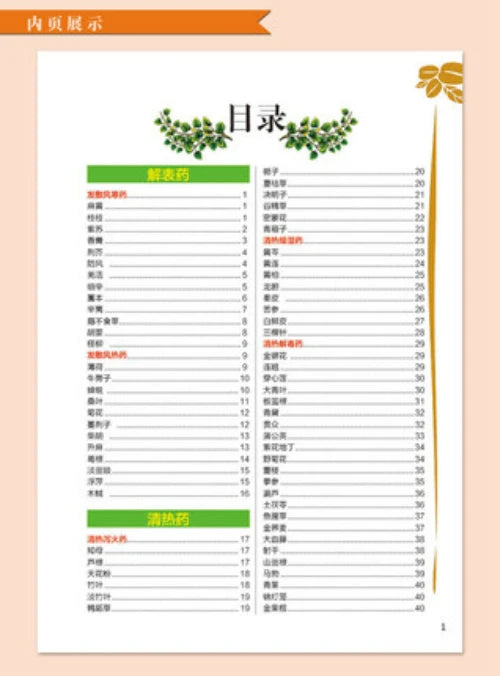 Herb Guide That’s Like a Picture Dictionary: 2000 Herbs Even Seniors Recognize—Toxic Warnings, Harvest Timelines