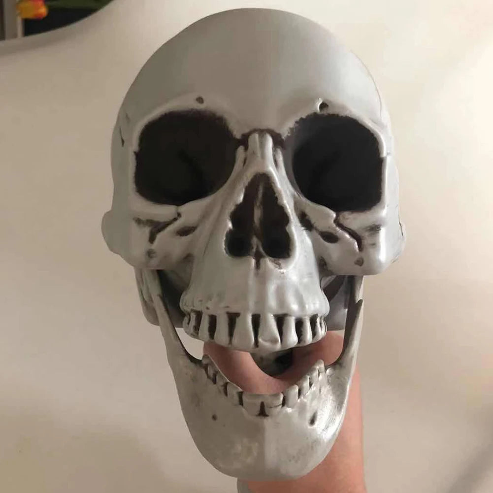 170cm Halloween Horror Anatomy Movable Skull Skeleton Halloween Props Poseable Full Life Size Skeleton Prop Halloween Decoration