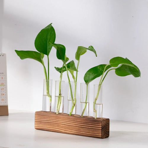 3/5 Tubes Wall Hanging Hydroponic Plant Propagation Glass Vase with