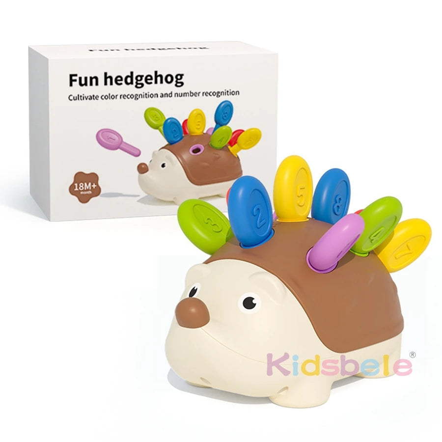 Baby Montessori Toys for 1 Year Old Hedgehog Toddler Sensory Toys Fine Motor Skills Learning Educational Sorting Toys Montessori