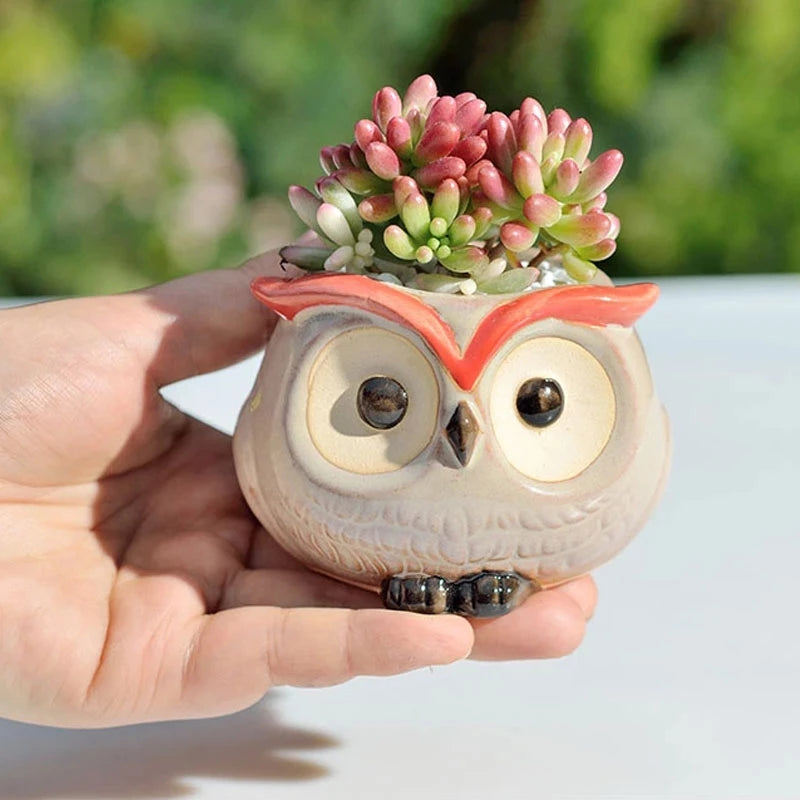 Ceramic Owl Flower Pot Garden Office Decoration Succulent Mini Owl