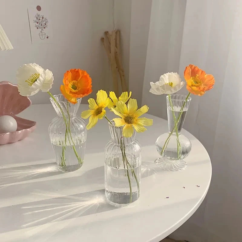 1pc Nordic Creative Transparent Vases for Plant Bottle Flower Pot
