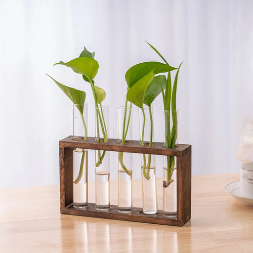 3/5 Tubes Wall Hanging Hydroponic Plant Propagation Glass Vase with