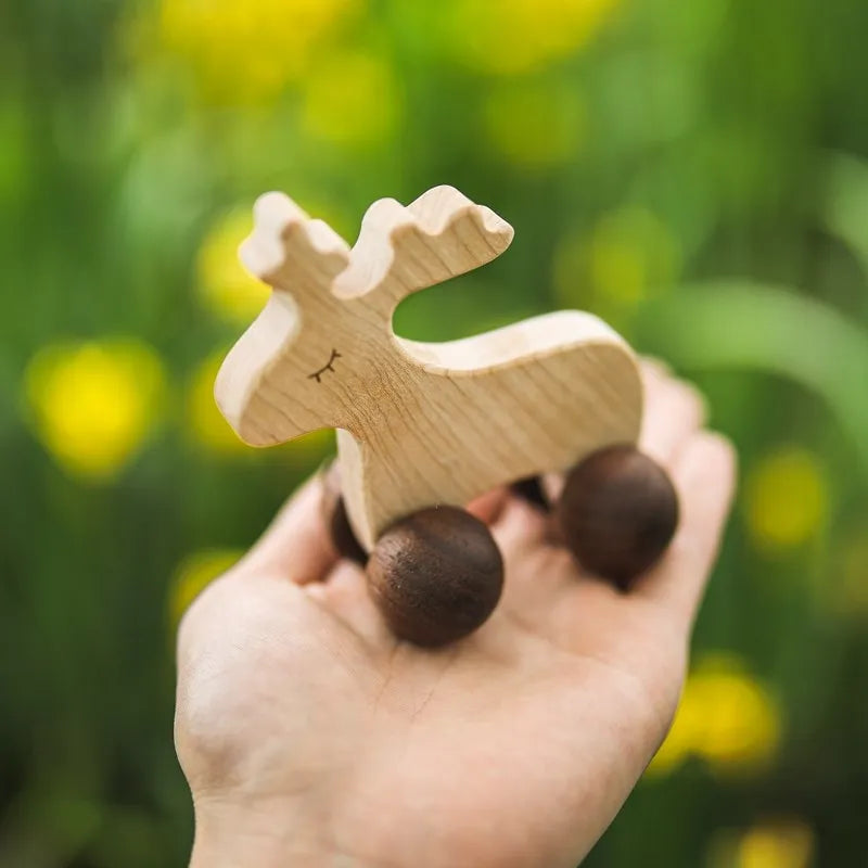 Wooden Cars Toys Maple Diy Crafts for Students Home Activities Montessori Grasping Teething Toy Newborn Birthday Gift Wood Block