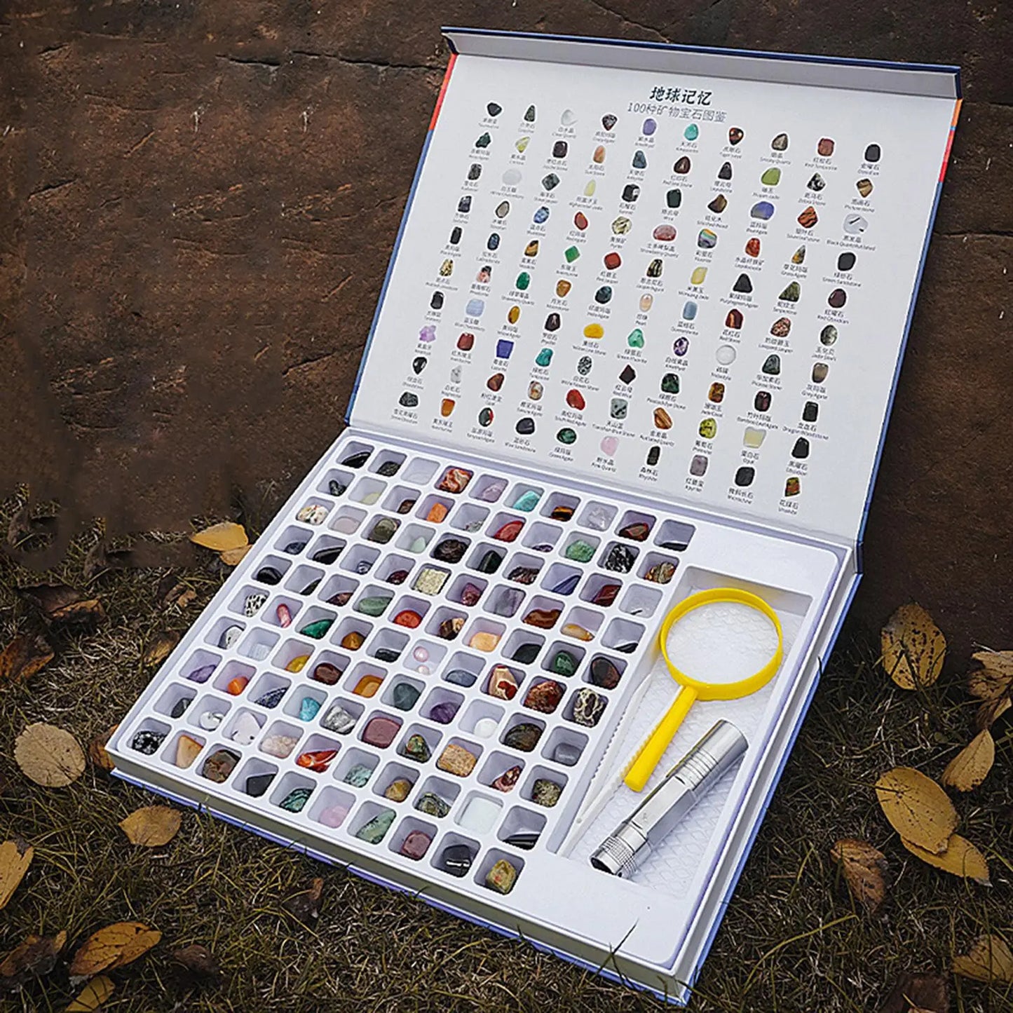 Natural Geology Minerals Rocks and Crystals GEM Collection Kit for Educational Science Book Magnifying Glass for Holiday Gifts