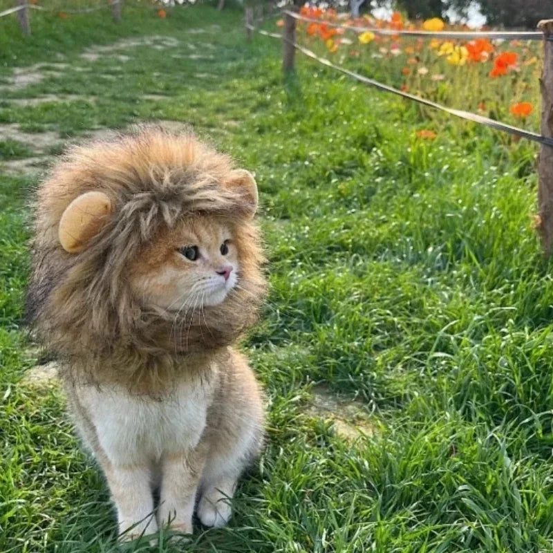 Cat Hat Lion Mane Halloween Costume Lion Costume Cat Cosplay Dress Up Pet Hats For Small Cats And Kittens Party Decoration