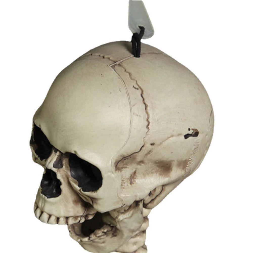 170cm Halloween Horror Anatomy Movable Skull Skeleton Halloween Props Poseable Full Life Size Skeleton Prop Halloween Decoration