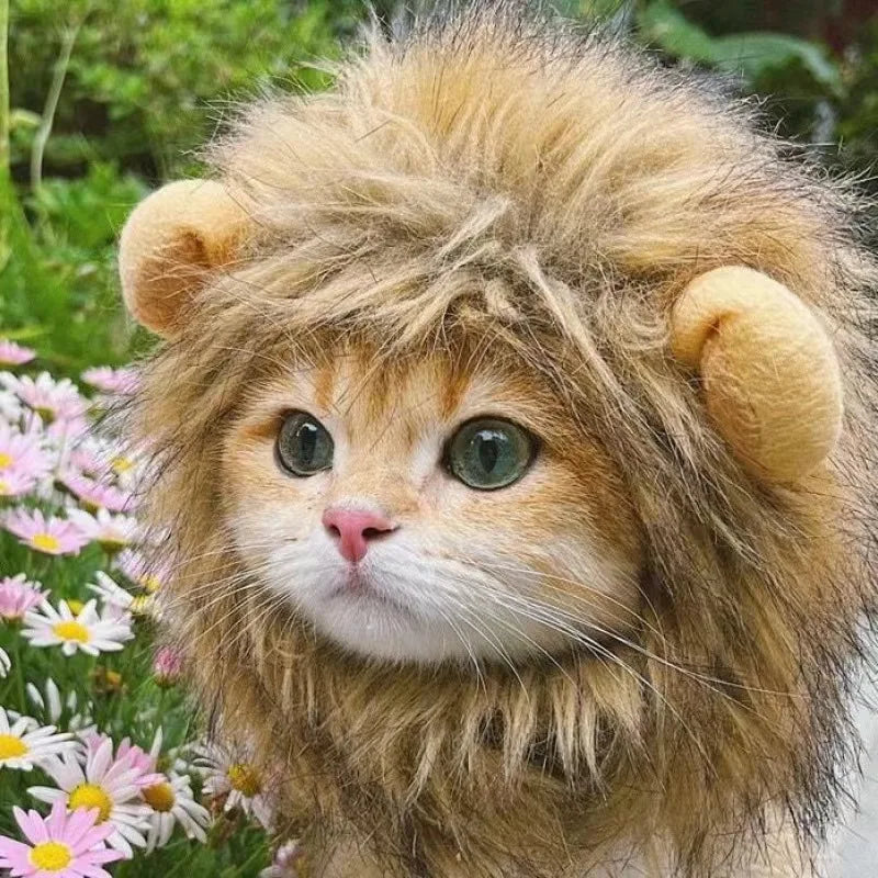 Cat Hat Lion Mane Halloween Costume Lion Costume Cat Cosplay Dress Up Pet Hats For Small Cats And Kittens Party Decoration