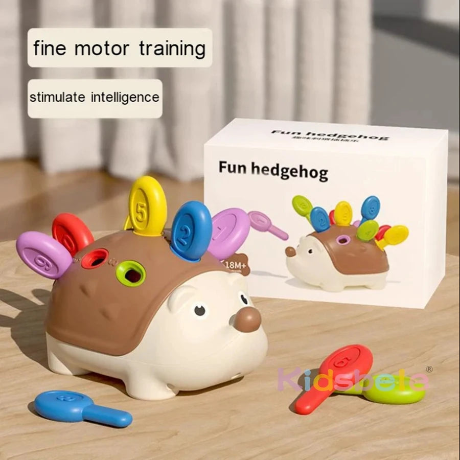 Baby Montessori Toys for 1 Year Old Hedgehog Toddler Sensory Toys Fine Motor Skills Learning Educational Sorting Toys Montessori