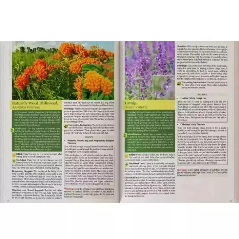 The Lost Book of Herbs and Natural Remedies II - A5 Size