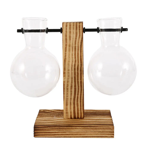 Glass Desktop Planter Bulb Vase Wooden Stand Hydroponic Plant