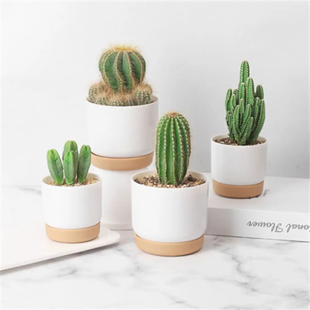 Self Watering Flowerpot Automatic Water Absorption Storage Round