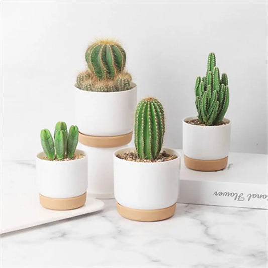 Self Watering Flowerpot Automatic Water Absorption Storage Round