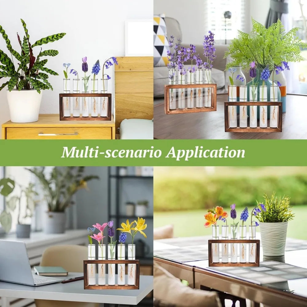 3/5 Tubes Wall Hanging Hydroponic Plant Propagation Glass Vase with