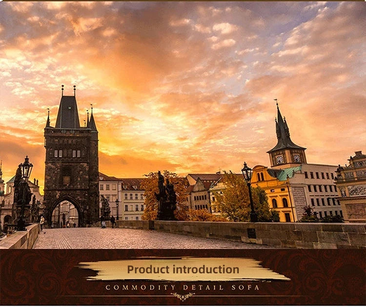 European Living Room Carpet Rugs for Bedroom  Outdoor Rug  Living Room Decor Tatami Rug Entrance Door Mat Area Rug Large luxury