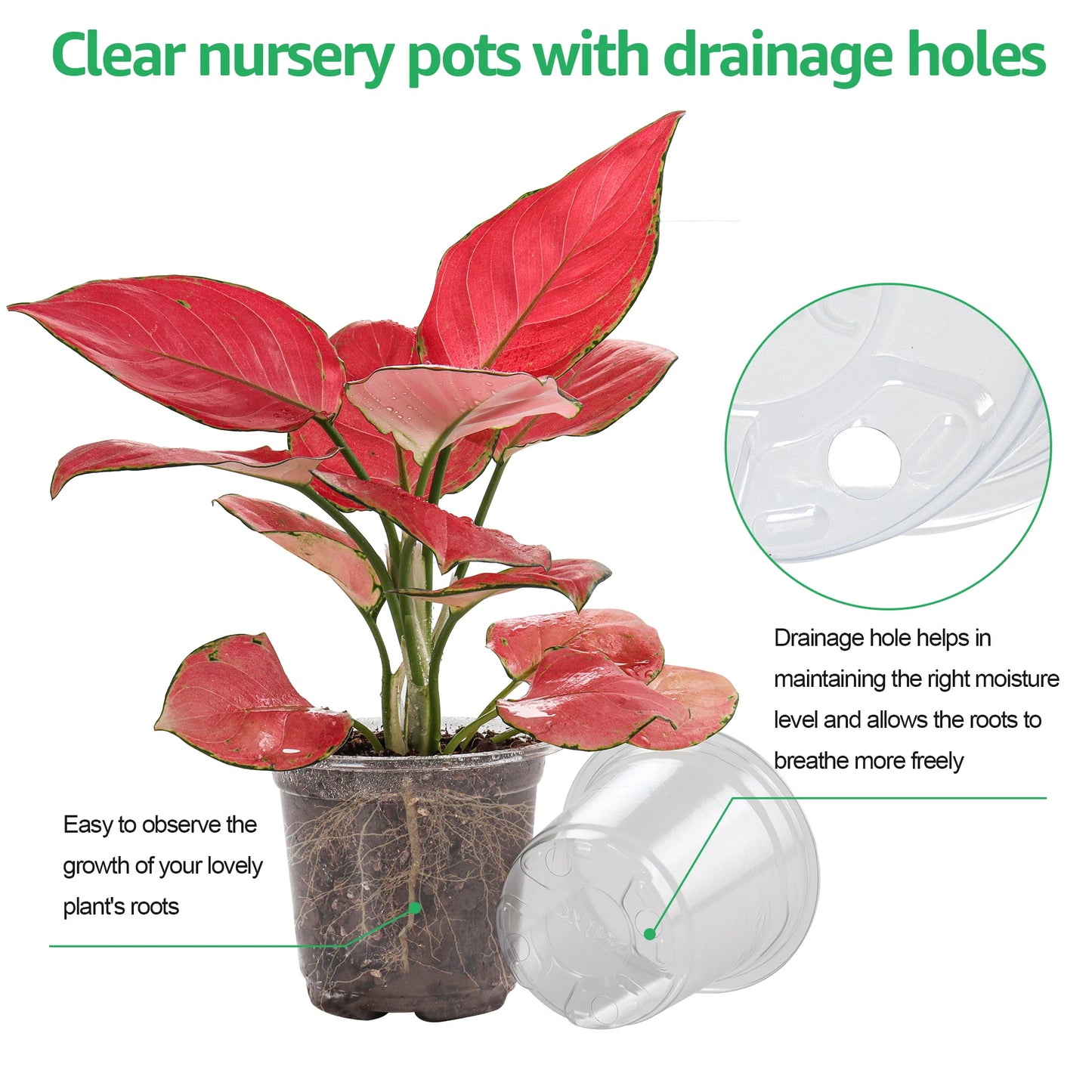 30 Packs 3.5/4/5 Inch Clear Nursery Pots, Transparent Plastic Planter