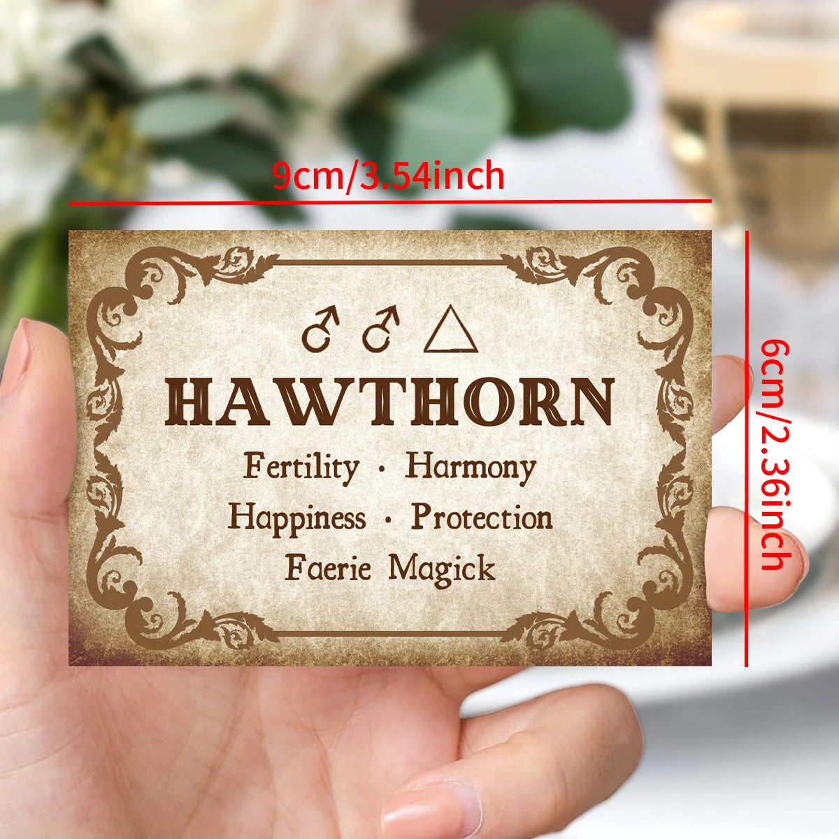 40pcs Herb Cards With Details Herb Names & Properties For Herbalism Or Collectibles Enthusiasts Seeking To Unlock Herbal Subject