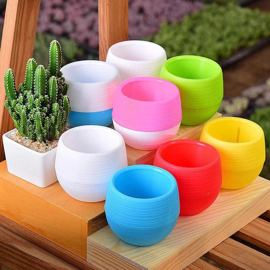 5/10/20pcs Mini Flower Pots for Succulents Small Plants DIY