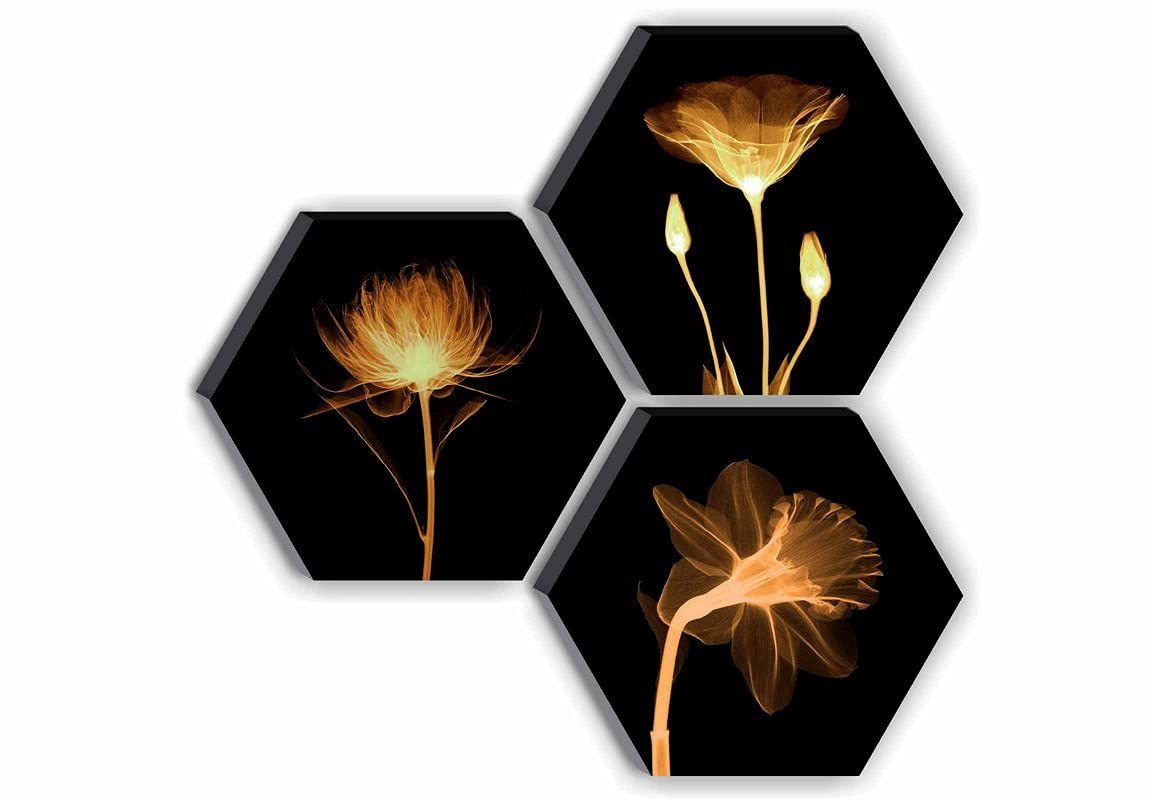 Hexagon Floral UV Textured Wall Art Set